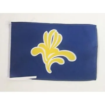 DRAPEAU BRUXELLES CAPITALE 45x30cm - PAVILLON BRUXELLOIS 30 x 45 cm haute qualité