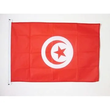 DRAPEAU TUNISIE 90x60cm - DRAPEAU TUNISIEN 60 x 90 cm Spécial Extérieur - DRAPEAUX
