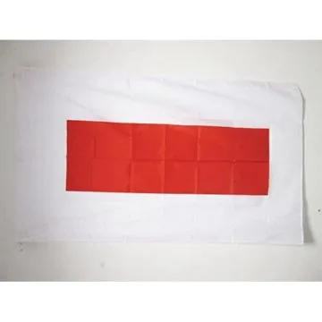 DRAPEAU CHARJAH 150x90cm - DRAPEAU CHARDJA AUX Í?MIRATS ARABES UNIS 90 x 150 cm Fourreau pour hampe