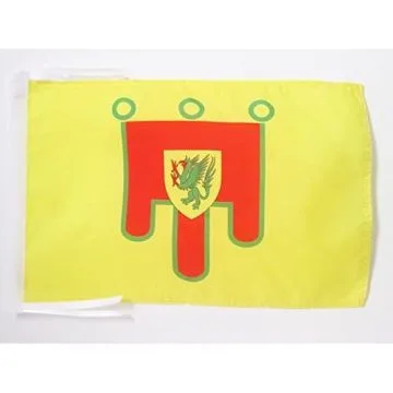 DRAPEAU CANTAL 45x30cm - PAVILLON DÉPARTEMENT FRANÇAIS - AUVERGNE 30 x 45 cm haute qualité