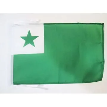 DRAPEAU ESPERANTO 45x30cm - PAVILLON DE LA LANGUE INTERNATIONALE 30 x 45 cm haute qualité
