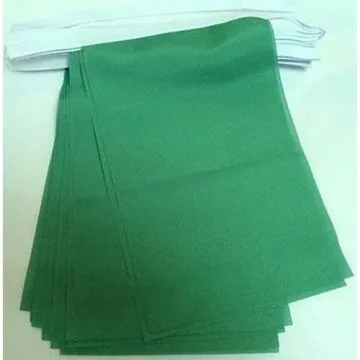 GUIRLANDE 6 mètres 20 DRAPEAUX UNICOLORE VERT 21x15 cm - DRAPEAU DE COULEUR VERTE 15 x 21 cm