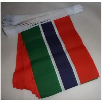Guirlande 12 mètres 20 Drapeaux Gambie 45x30 cm - Drapeau gambien 30 x 45 cm