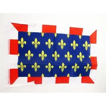 DRAPEAU PROVINCE DE TOURAINE 45x30cm - PAVILLON TOURS - FRANCE 30 x 45 cm haute qualité