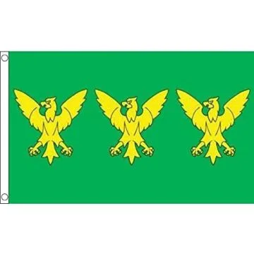 DRAPEAU COMTÉ DE CAERNARFONSHIRE 150x90cm - DRAPEAU GALLOIS DE CAERNARVONSHIRE - PAYS DE GALLES 90 x 150 cm - DRAPEAUX