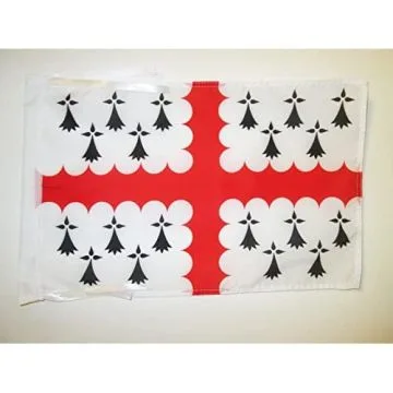 DRAPEAU PAYS DE VANNES 45x30cm - PAVILLON VANNETAIS EN PAYS DE WAROCH 30 x 45 cm haute qualité