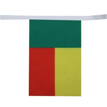 Guirlande 12 mètres 20 Drapeaux Bénin 45x30 cm - Drapeau béninois 30 x 45 cm