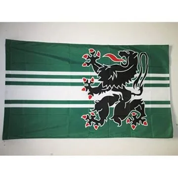 DRAPEAU PROVINCE DE FLANDRE ORIENTALE 90x60cm - DRAPEAU DE OOST-VLAANDEREN 60 x 90 cm Fourreau pour hampe