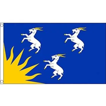DRAPEAU COMTÉ DE MERIONETHSHIRE 150x90cm - DRAPEAU GALLOIS DE MERIONETHSHIRE - PAYS DE GALLES 90 x 150 cm - DRAPEAUX
