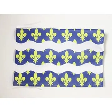 DRAPEAU SEINE-ET-MARNE 45x30cm - PAVILLON DÉPARTEMENT FRANÇAIS - ÎLE-DE-FRANCE 30 x 45 cm haute qualité