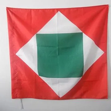 DRAPEAU COUPE DU MONDE DE RUGBY 2015 90x90cm - DRAPEAU WORLD CUP 90 x 90 cm Fourreau pour hampe