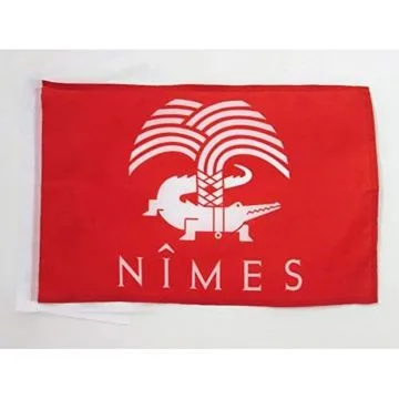 DRAPEAU NÎMES 45x30cm - PAVILLON CROCODILE NÎMOIS 30 x 45 cm haute qualité