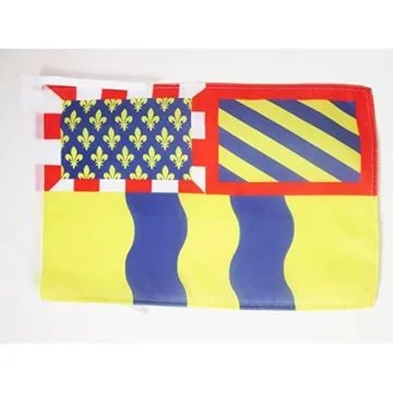 DRAPEAU SAÔNE-ET-LOIRE 45x30cm - PAVILLON DÉPARTEMENT FRANÇAIS - BOURGOGNE 30 x 45 cm haute qualité