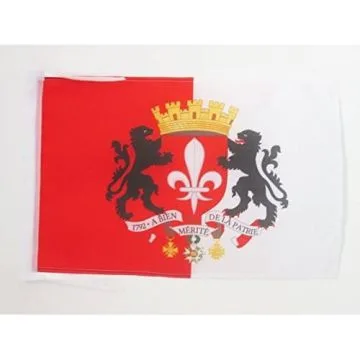 DRAPEAU LILLE AVEC ARMES 45x30cm - PAVILLON LILLOIS AVEC ARMOIRIES 30 x 45 cm haute qualité