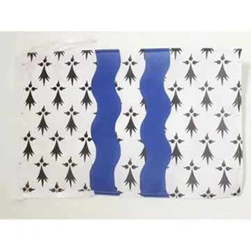 DRAPEAU ILLE-ET-VILAINE 45x30cm - PAVILLON DÉPARTEMENT FRANÇAIS - BRETAGNE 30 x 45 cm haute qualité