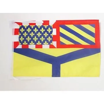 DRAPEAU YONNE 45x30cm - PAVILLON DÉPARTEMENT FRANÇAIS - BOURGOGNE 30 x 45 cm haute qualité