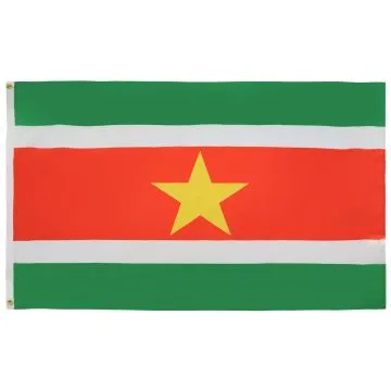 DRAPEAU SURINAME 90x60cm - DRAPEAU SURINAMIEN 60 x 90 cm - DRAPEAUX