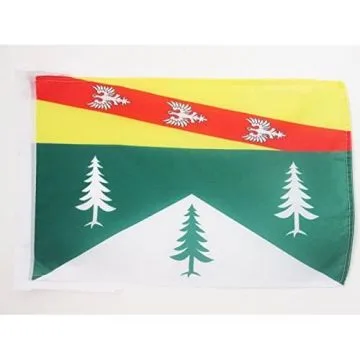 DRAPEAU VOSGES 45x30cm - PAVILLON DÉPARTEMENT FRANÇAIS - LORRAINE 30 x 45 cm haute qualité