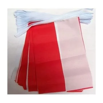 GUIRLANDE 6 mètres 20 DRAPEAUX ALSACE ROT UN WISS 21x15 cm - DRAPEAU ALSACIEN 15 x 21 cm