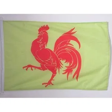 DRAPEAU WALLONIE 150x90cm - DRAPEAU WALLON - BELGIQUE 90 x 150 cm Spécial Extérieur - DRAPEAUX