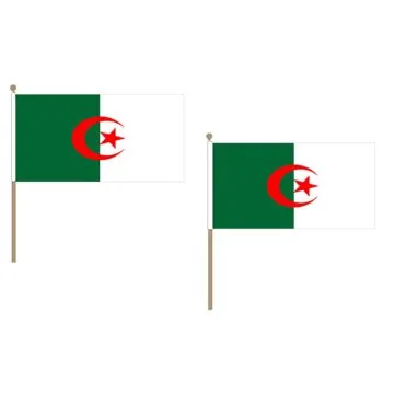 DRAPEAU ALGÍ?RIE 45x30cm HAMPE en bois - LOT DE 10 DRAPEAUX ALGÍ?RIEN 30 x 45 cm
