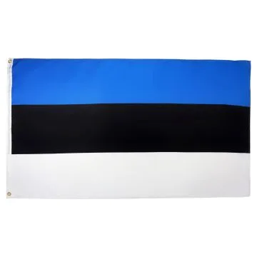 DRAPEAU ESTONIE 90x60cm - DRAPEAU ESTONIEN 60 x 90 cm - DRAPEAUX