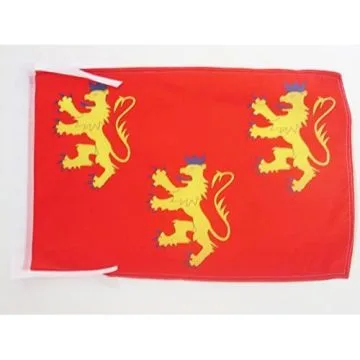 DRAPEAU DORDOGNE 45x30cm - PAVILLON DÉPARTEMENT FRANÇAIS - AQUITAINE 30 x 45 cm haute qualité