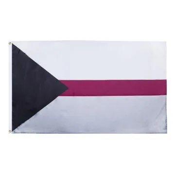 DRAPEAU DEMISEXUALITÍ? 150x90cm - DRAPEAU DEMISEXUEL 90 x 150 cm - DRAPEAUX