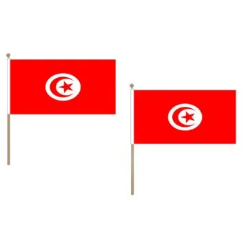 DRAPEAU TUNISIE 45x30cm HAMPE en bois - LOT DE 10 DRAPEAUX TUNISIEN 30 x 45 cm