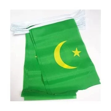 Guirlande 12 mètres 20 Drapeaux Mauritanie ancien 45x30 cm - Drapeau mauritanien 30 x 45 cm