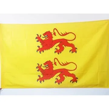 DRAPEAU COMTÍ? DE BIGORRE 90x60cm - DRAPEAU DUCHÍ? DE GASCOGNE 60 x 90 cm Fourreau pour hampe