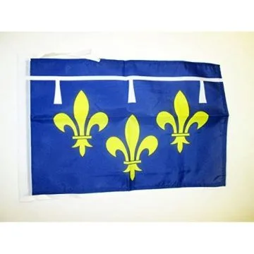 DRAPEAU PROVINCE ORLÉANAIS 45x30cm - PAVILLON ORLÉANS - FRANCE 30 x 45 cm haute qualité