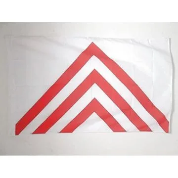 DRAPEAU PROVINCE DU PERCHE 150x90cm - DRAPEAU PROVINCE DU PERCHE ET DU PERCHE-GOUÍ?T 90 x 150 cm Fourreau pour hampe