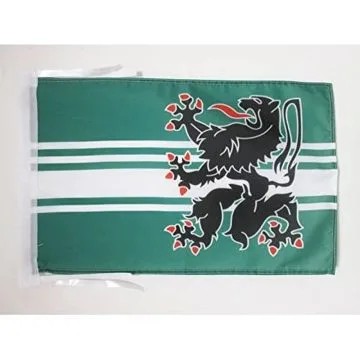 DRAPEAU PROVINCE DE FLANDRE ORIENTALE 45x30cm - PAVILLON DE OOST-VLAANDEREN 30 x 45 cm haute qualité