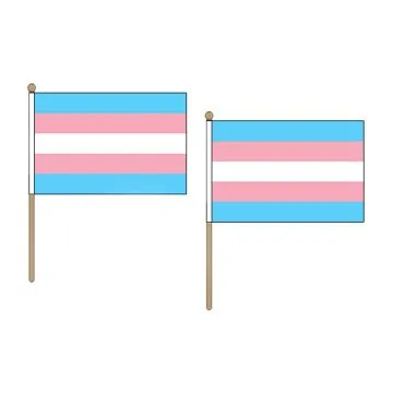 DRAPEAU ARC-EN-CIEL TRANSGENRE 45x30cm HAMPE en bois - LOT DE 10 DRAPEAUX TRANGENDER - RAINBOW 30 x 45 cm