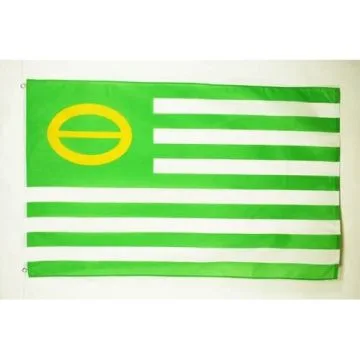 DRAPEAU ECOLOGISTE 150x90cm - DRAPEAU ÉCOLOGIQUE - VERT 90 x 150 cm - DRAPEAUX