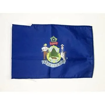 DRAPEAU MAINE 45x30cm - PAVILLON ETAT AMÉRICAIN - USA - ETATS-UNIS 30 x 45 cm haute qualité