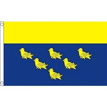 DRAPEAU COMTÉ DU SUSSEX DE L\'OUEST 150x90cm - DRAPEAU WEST SUSSEX - ANGLETERRE 90 x 150 cm - DRAPEAUX