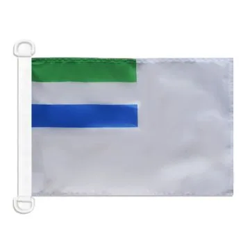 Pavillon nautique Pavillon de guerre Sierra Leone 45x30 cm Anneaux Plastiques