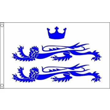 DRAPEAU COMTÉ DE BERKSHIRE 150x90cm - DRAPEAU COUNTY OF BERKS. - ANGLETERRE 90 x 150 cm - DRAPEAUX