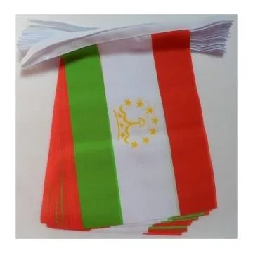 GUIRLANDE 6 mètres 20 DRAPEAUX TADJIKISTAN 21x15 cm - DRAPEAU TADJIK 15 x 21 cm