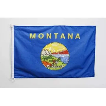 Drapeau Montana 90x60cm - Drapeau Etat américain - USA - Etats-Unis 60 x 90 cm Spécial Extérieur - Drapeaux