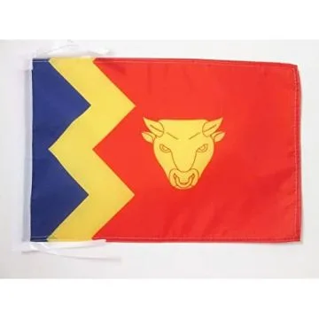 DRAPEAU BIRMINGHAM 45x30cm - PAVILLON BIRMINGHAM CITY 30 x 45 cm haute qualité