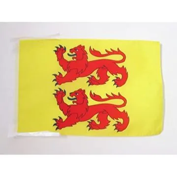DRAPEAU HAUTES-PYRÉNÉES 45x30cm - PAVILLON DÉPARTEMENT HAUT-PYRÉNÉEN 30 x 45 cm haute qualité