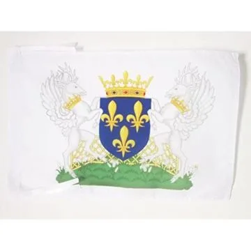 DRAPEAU BLASON ROYAUME DE FRANCE CHARLES VII 45x30cm - PAVILLON ROYALISTE FRANÇAIS 30 x 45 cm haute qualité