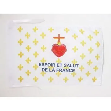 DRAPEAU FLEUR DE LYS OR ESF 45x30cm - PAVILLON ROYALISTE ESPOIR ET SALUT DE LA FRANCE 30 x 45 cm haute qualité