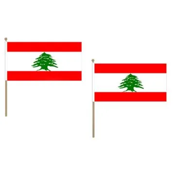 DRAPEAU LIBAN 45x30cm HAMPE en bois - LOT DE 10 DRAPEAUX LIBANAIS 30 x 45 cm