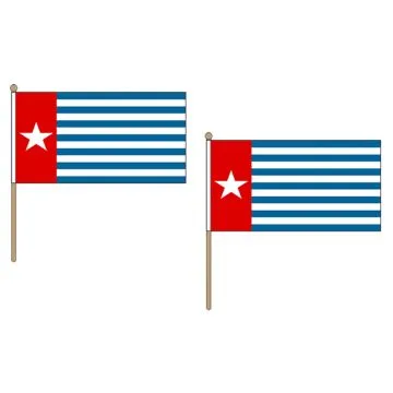 DRAPEAU ORGANISATION POUR UNE PAPOUASIE LIBRE 45x30cm HAMPE en bois - LOT DE 10 DRAPEAUX DE L\'OPM 30 x 45 cm