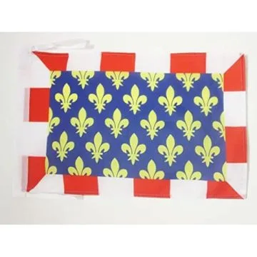 DRAPEAU INDRE-ET-LOIRE 45x30cm - PAVILLON DÉPARTEMENT FRANÇAIS - CENTRE 30 x 45 cm haute qualité