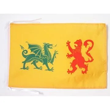 DRAPEAU ROYAUME DE GALICE 410-585 45x30cm - PAVILLON REINO DE GALICIA - ESPAGNE 30 x 45 cm haute qualité